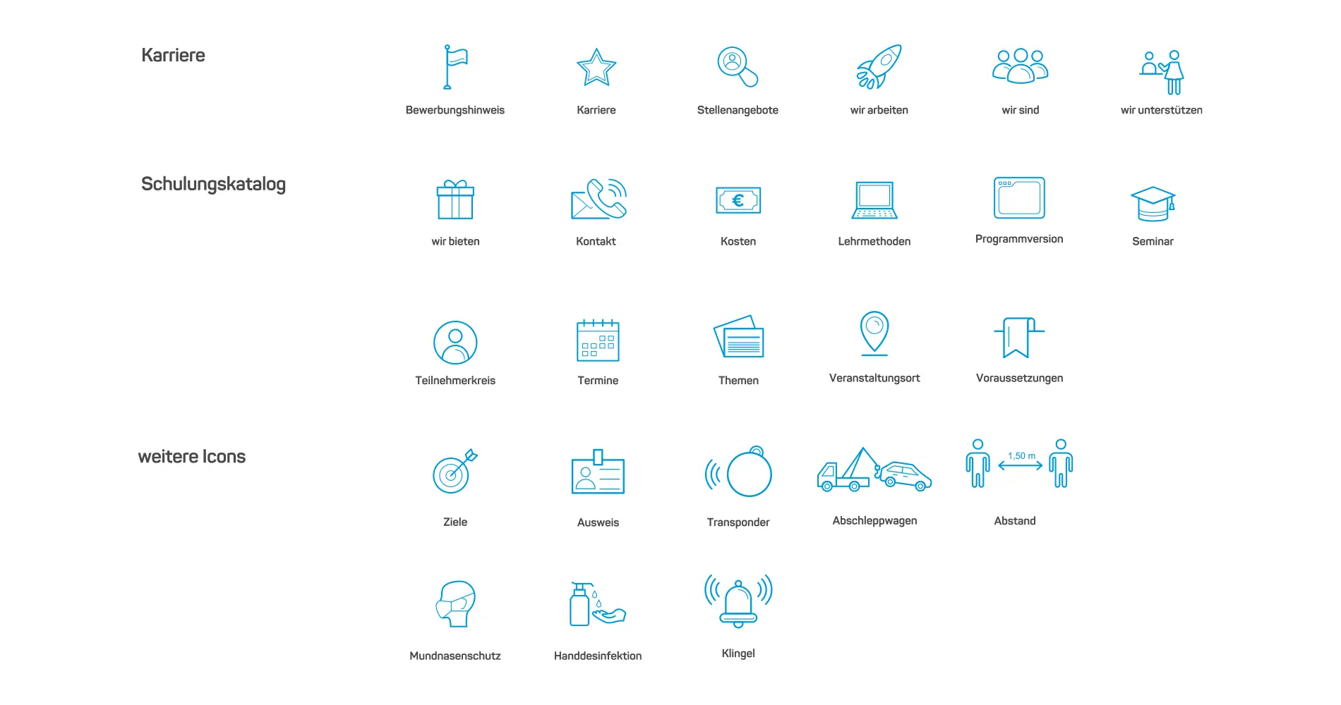 Icon-Set für rku IT mit Piktogrammen zu Karriere, Schulungen und Service-Themen